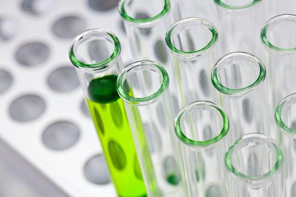 Chemicals and Fertilizers